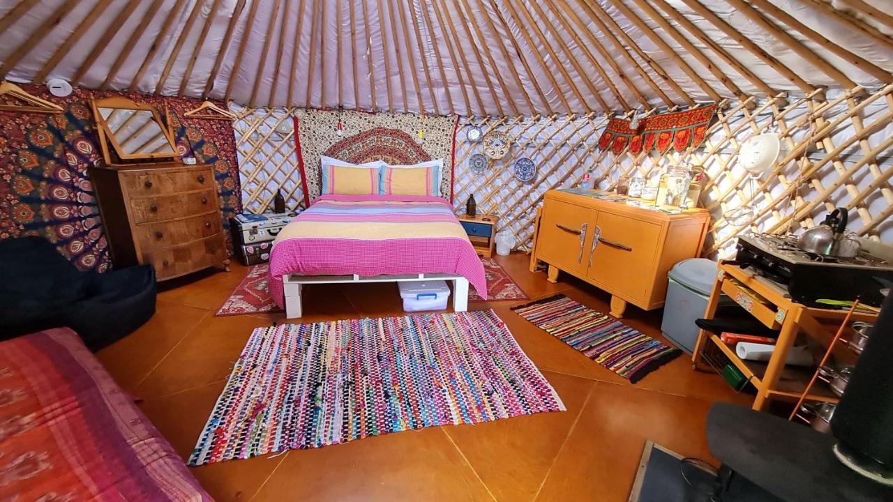 The Tall Pines Yurt Helmsdale Extérieur photo